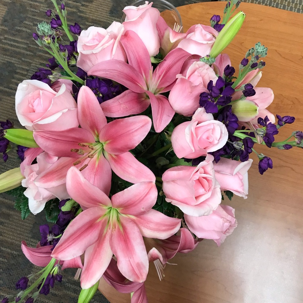 Meet your Posher, Cruzana